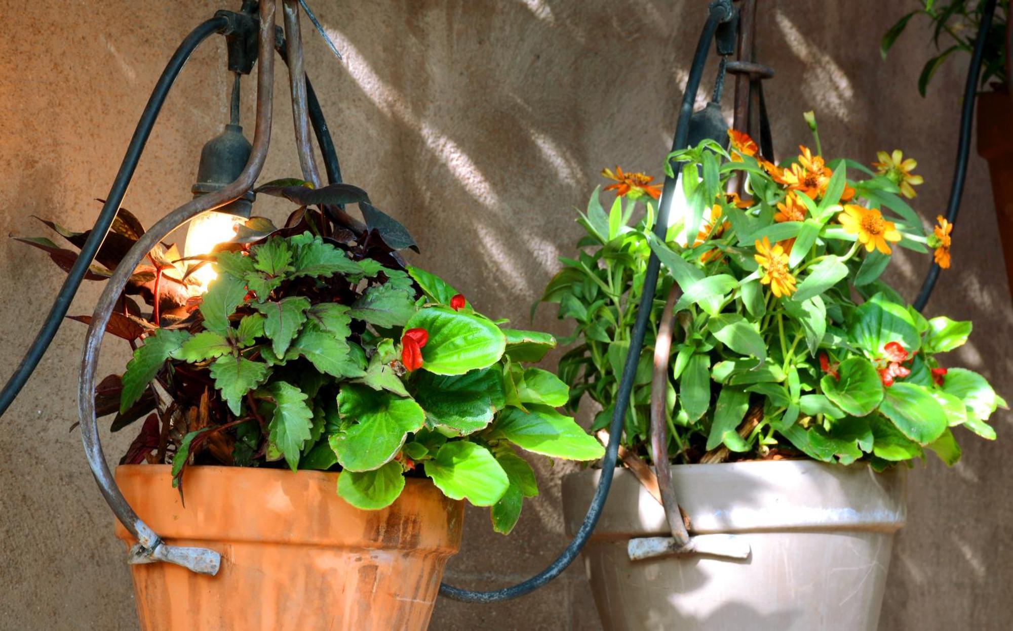 El Portal Sedona Hotel Extérieur photo