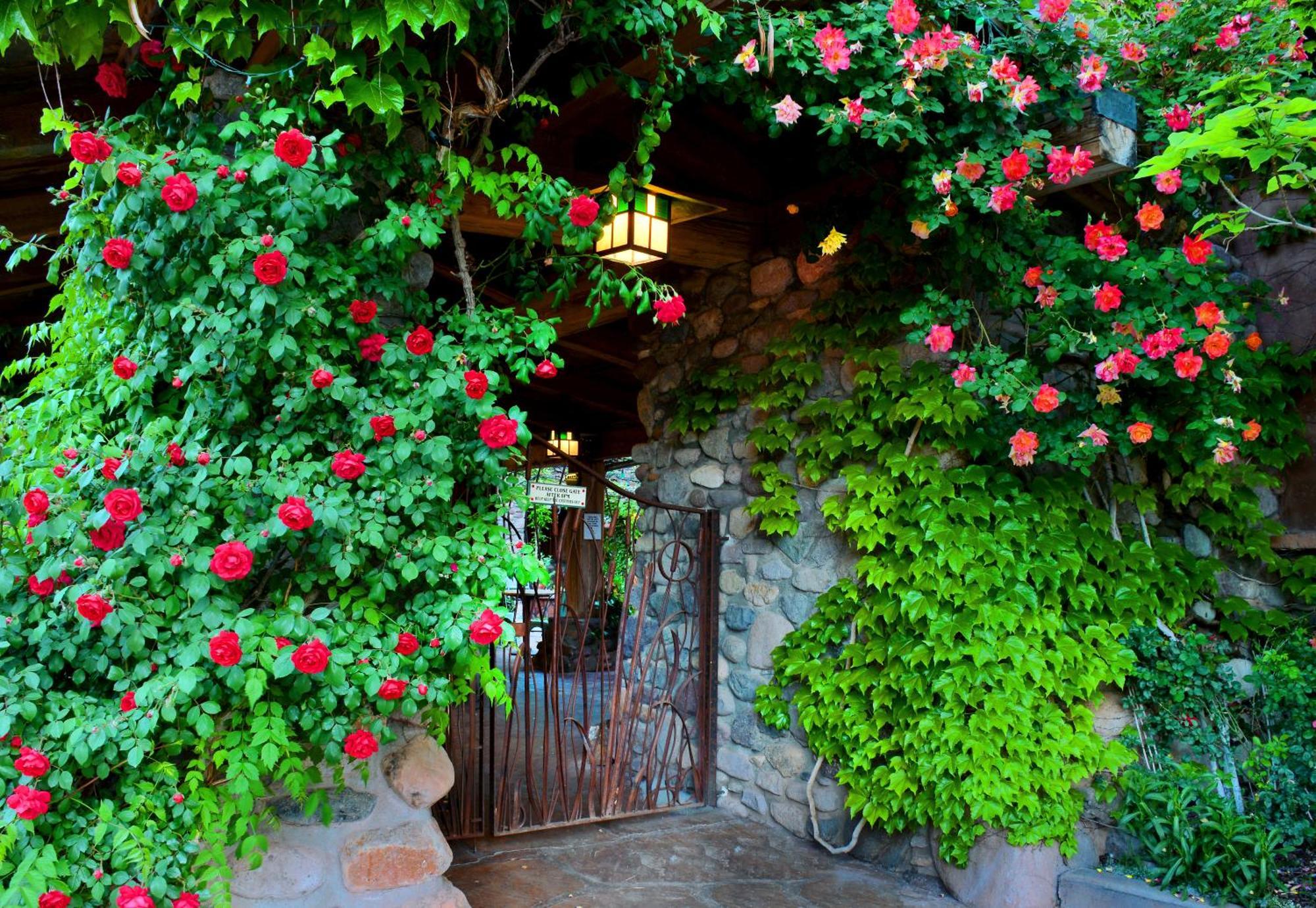 El Portal Sedona Hotel Extérieur photo